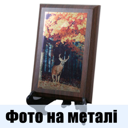 ���� �� �����